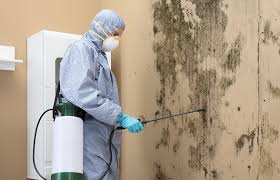 Mold Odor Removal Services in Valhalla, NY